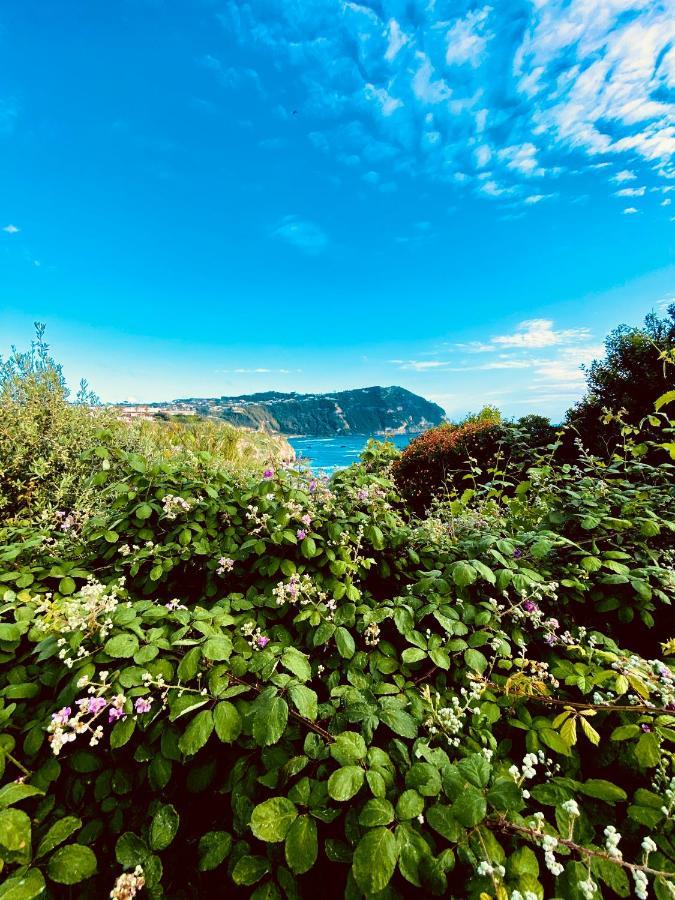 Forio di Ischia La Fortezza מראה חיצוני תמונה